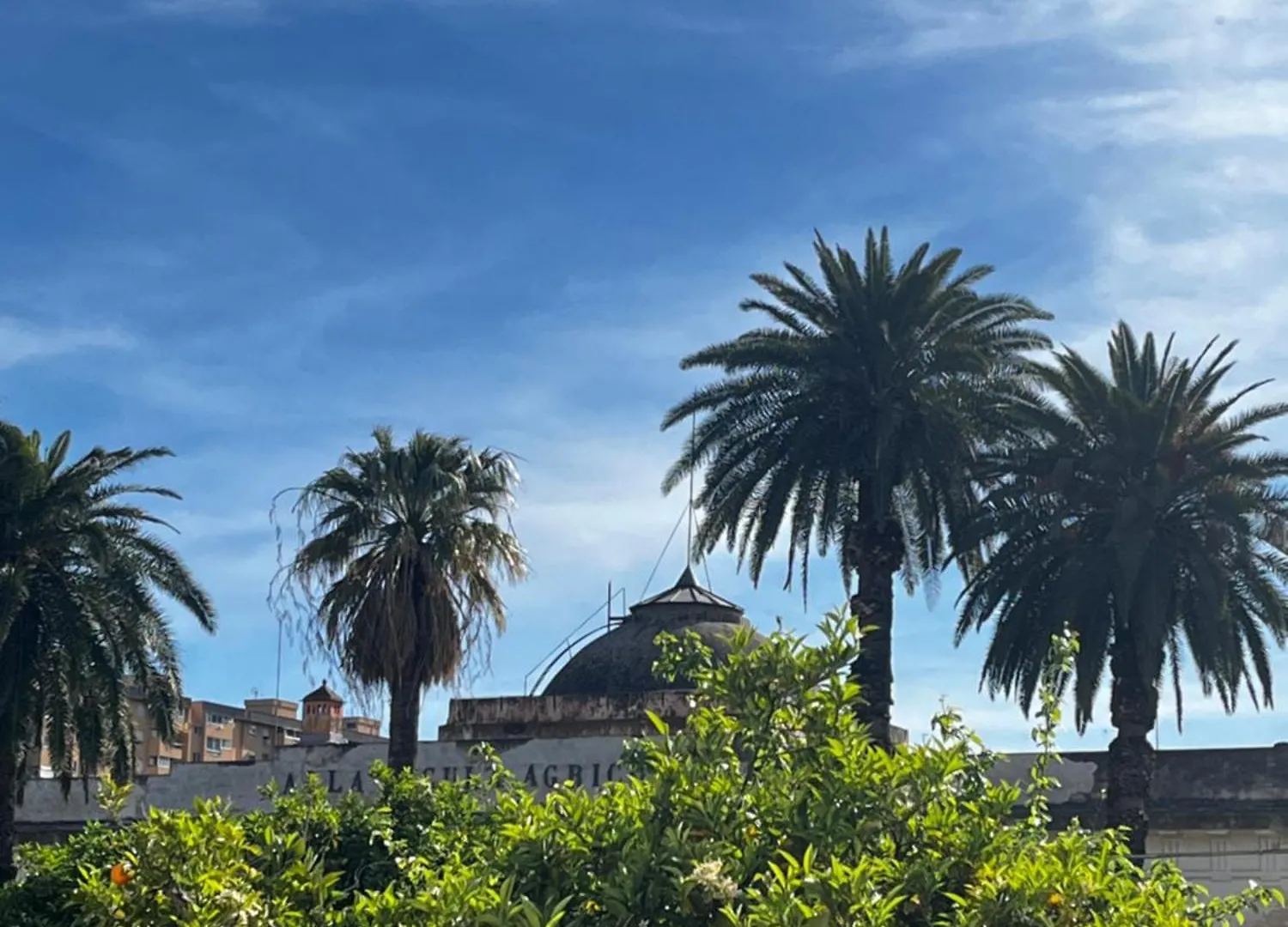 Homestay Friends House Apartment Palermo